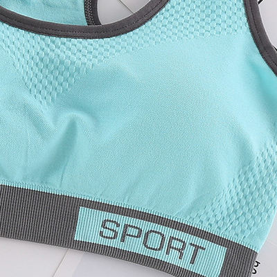 Underwire Sports Bras For Women High Impact Large Bust Macaron Color