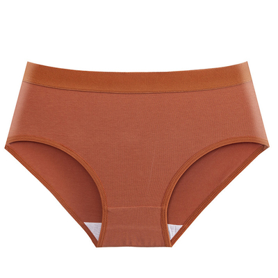 Multi Color Women'S High Rise Cotton Underwear ODM Accepatable